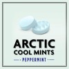 Altoids Arctic Peppermint Altoids Arctic Peppermint
