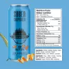 Sober Carpenter Doh Hazy IPA (4 Pack)