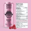 Sober Carpenter Raspberry Sour (4 Cans)