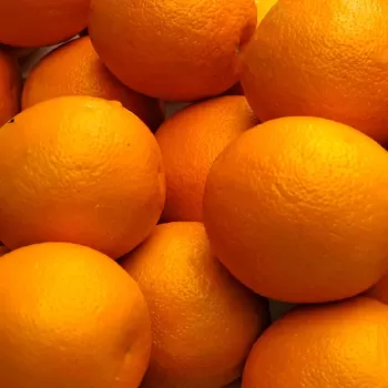 Juice Orange