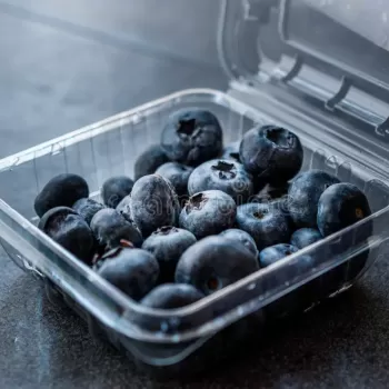 Organic Blueberry