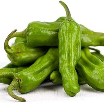 Shishito Pepper 1lb
