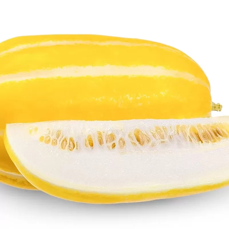 Korean Melon