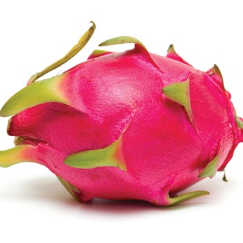 Dragon Fruit Dragon Fruit