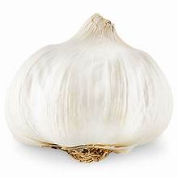 Garlic Loose 1LB Garlic Loose 1LB