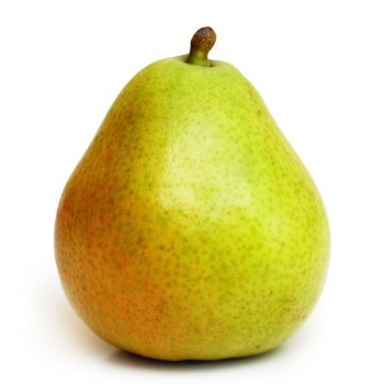 D'Anjou Pear D'Anjou Pear
