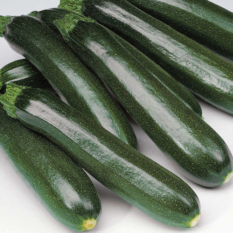 Green Squash