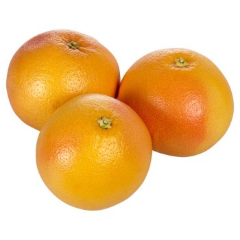 Grapefruit Small Grapefruit Small