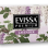Evissa Premium Lavender Scented Soap