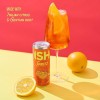 ISH Non-Alcoholic Spritz 8.4 floz