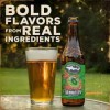 Dogfish Head 60 Minute Ipa