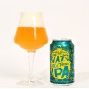 Sierra Nevada Hazy Little Thing
