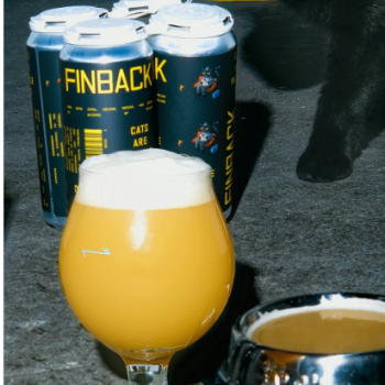 Finback Cats Are People Too
