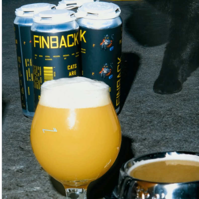 Finback Cats Are People Too