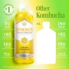 Gt's Kombucha Golden Pineapple
