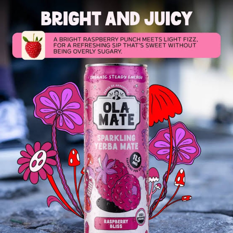 Ola Mate Sparkling Yerba Mate Raspberry Bliss