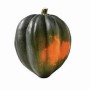 Acorn Squash 1LB Acorn Squash 1LB