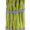 Asparagus