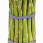 Asparagus Asparagus