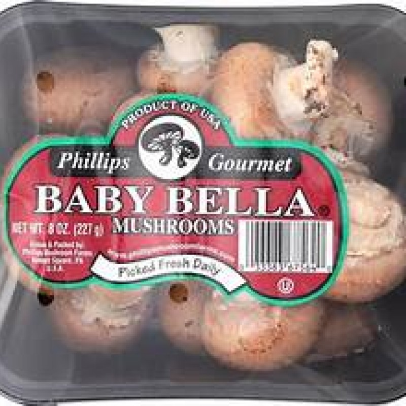 Baby Bella Mushroom Baby Bella Mushroom