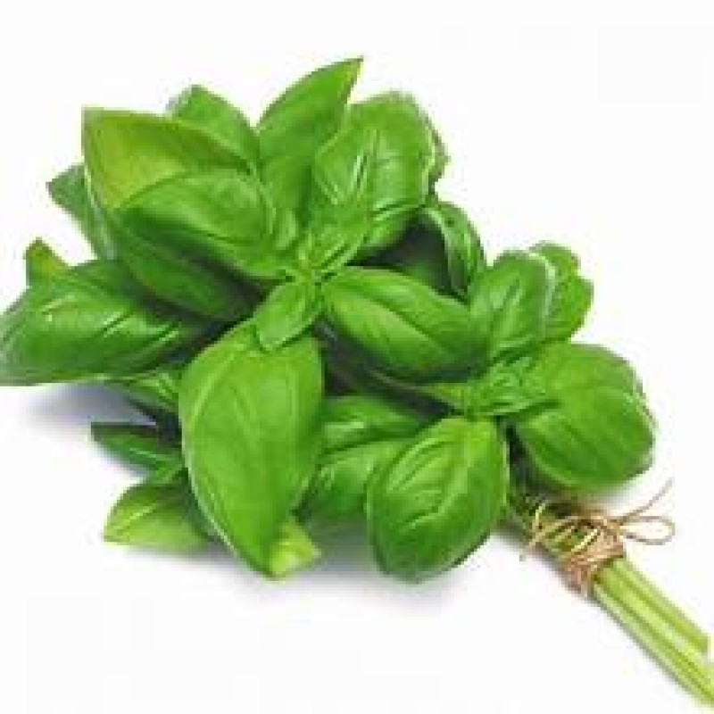 Basil Bunch Basil Bunch