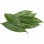 Bay Leaf