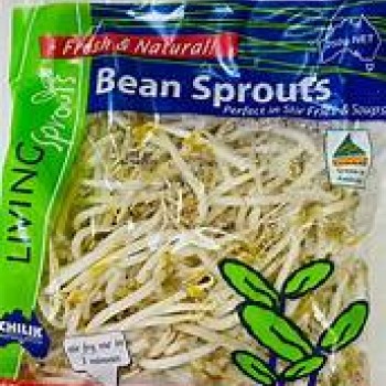 Bean Sprouts