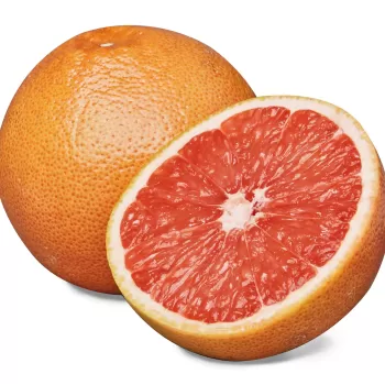 Grapefruit Grapefruit