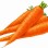 Loose Carrot 1LB