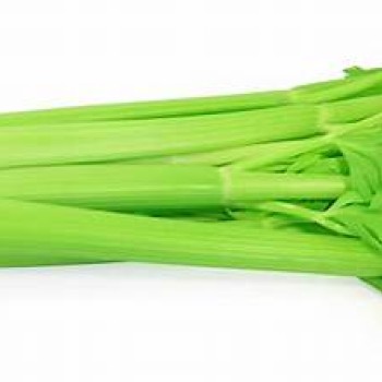 Celery Celery