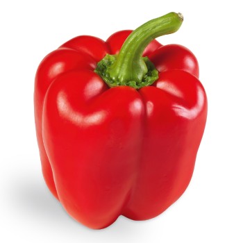 Red Pepper Red Pepper