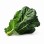 Collard Greens 1lb