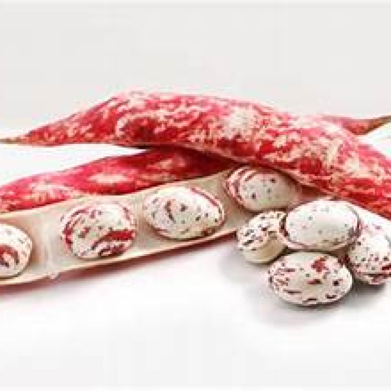 Cranberry Beans 1LB
