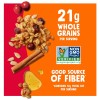 Bear Naked Granola Cinnamon Protein