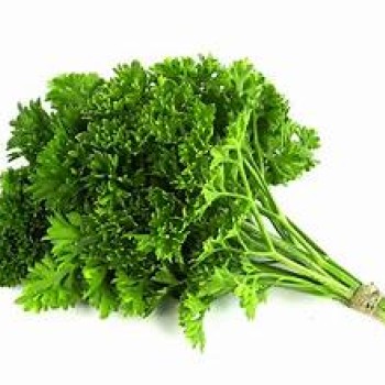 Curly Parsley Curly Parsley