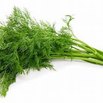 Dill Dill