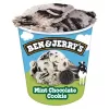 Ben & Jerry's Mint Chocolate Cookie Ice Cream