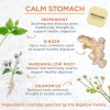 Bigelow Benefits Ginger Peach Calm Stomach
