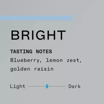 Blue Bottle Bright Medium Roast Blue Bottle Bright Medium Roast