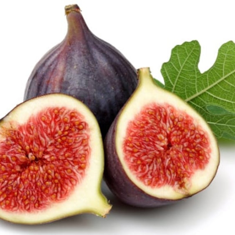 Black Fig Black Fig