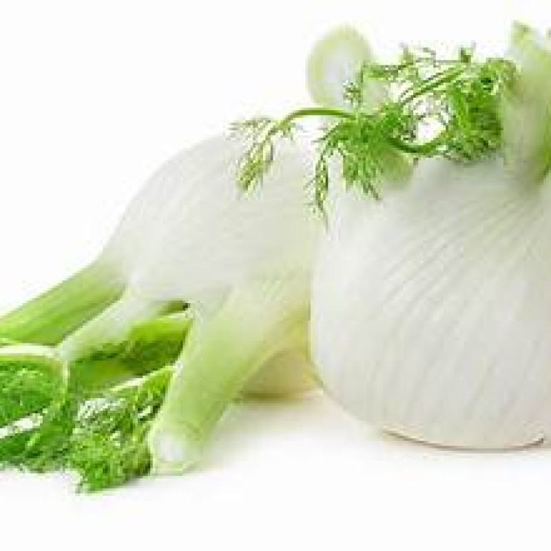 Fennel Anies Fennel Anies