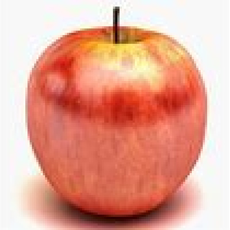 Fuji Apple