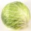 Green Cabbage 1LB