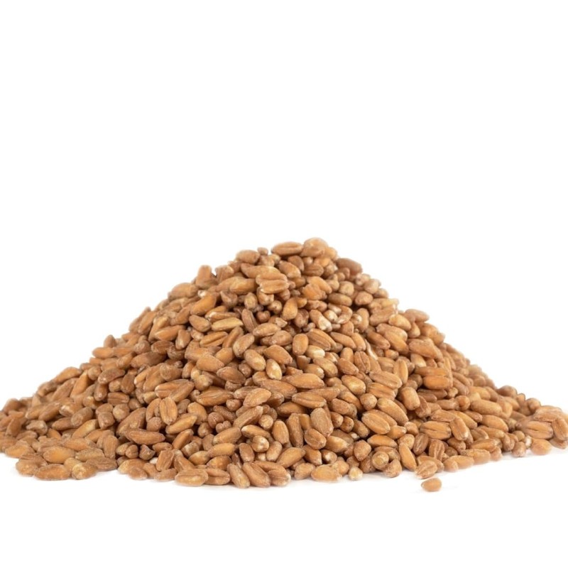 Bob's Red Mill Organic Farro Bob's Red Mill Organic Farro