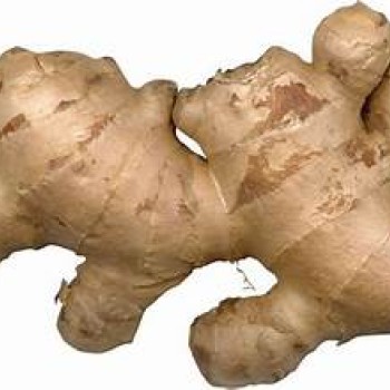 Ginger 1LB Ginger 1LB