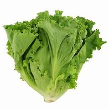 Green Leaf Green Leaf