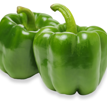 Green Pepper Green Pepper