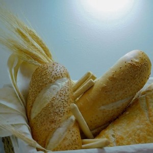 Bread & Tortillas