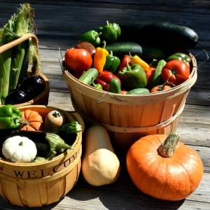 Canned Fruits & Vegetables