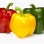 Holland Peppers 1LB